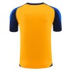 Juventus Pre-Match Fotbollströjor 2024-25 Kortärmad